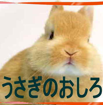 �������̂�����